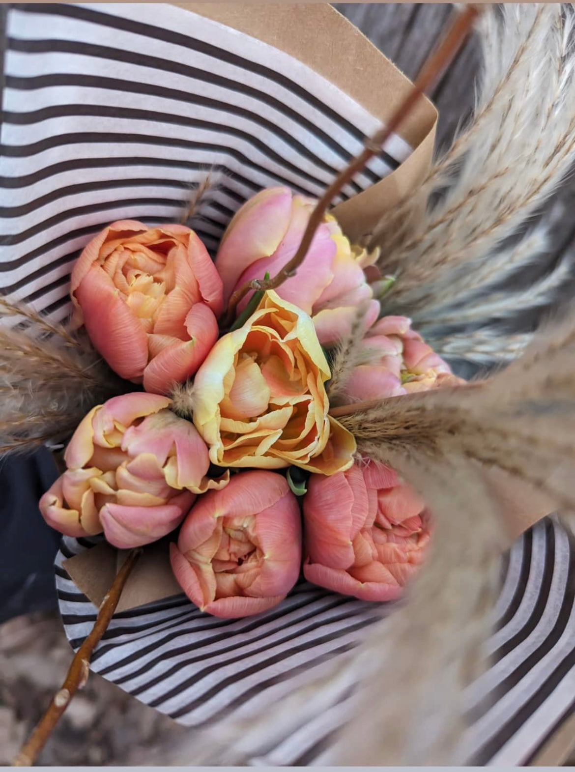 Bouquet de tulipes en pré vente, formats variés, Ail Lys Ferme
